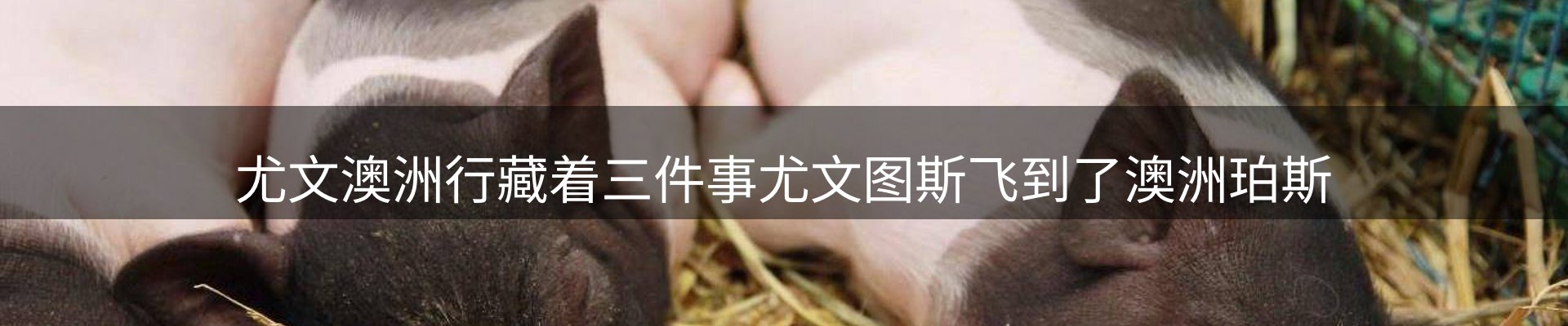 今日资讯