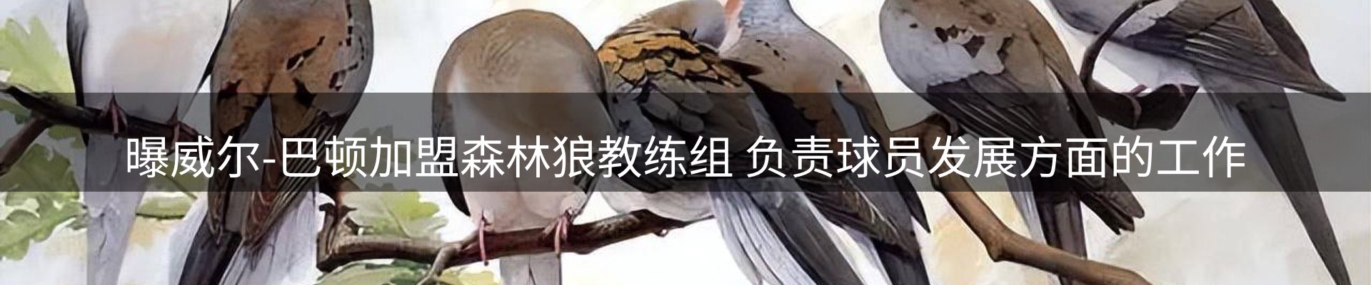 今日资讯