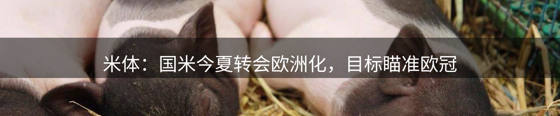 新闻前沿